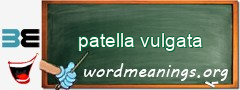 WordMeaning blackboard for patella vulgata